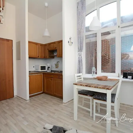 Apartment Haus Moewennest I/ Ankerplatz Borkum